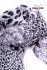 Maxi šátek Leopard - Šedá
